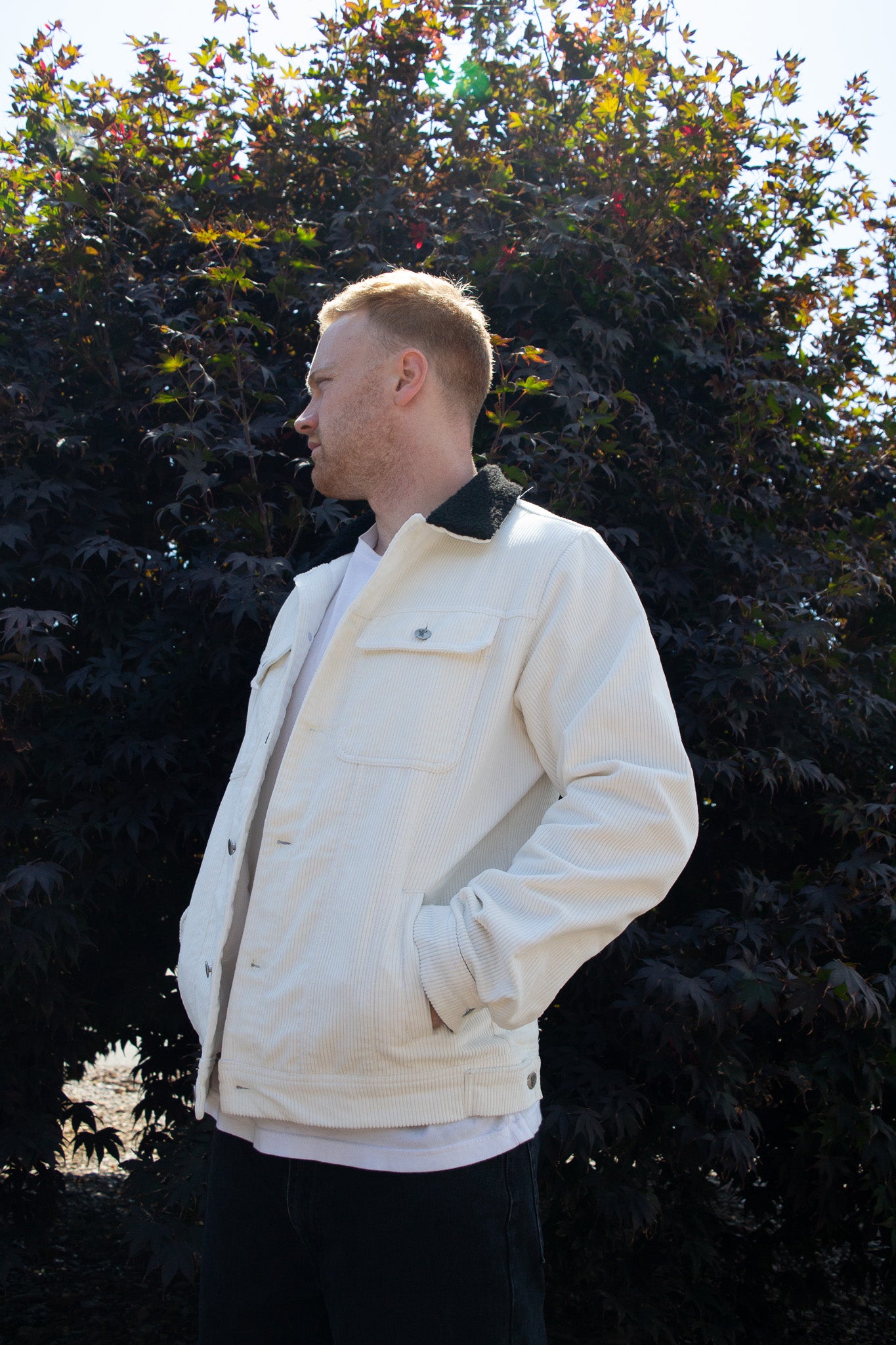 Grimmjow Corduroy Jacket